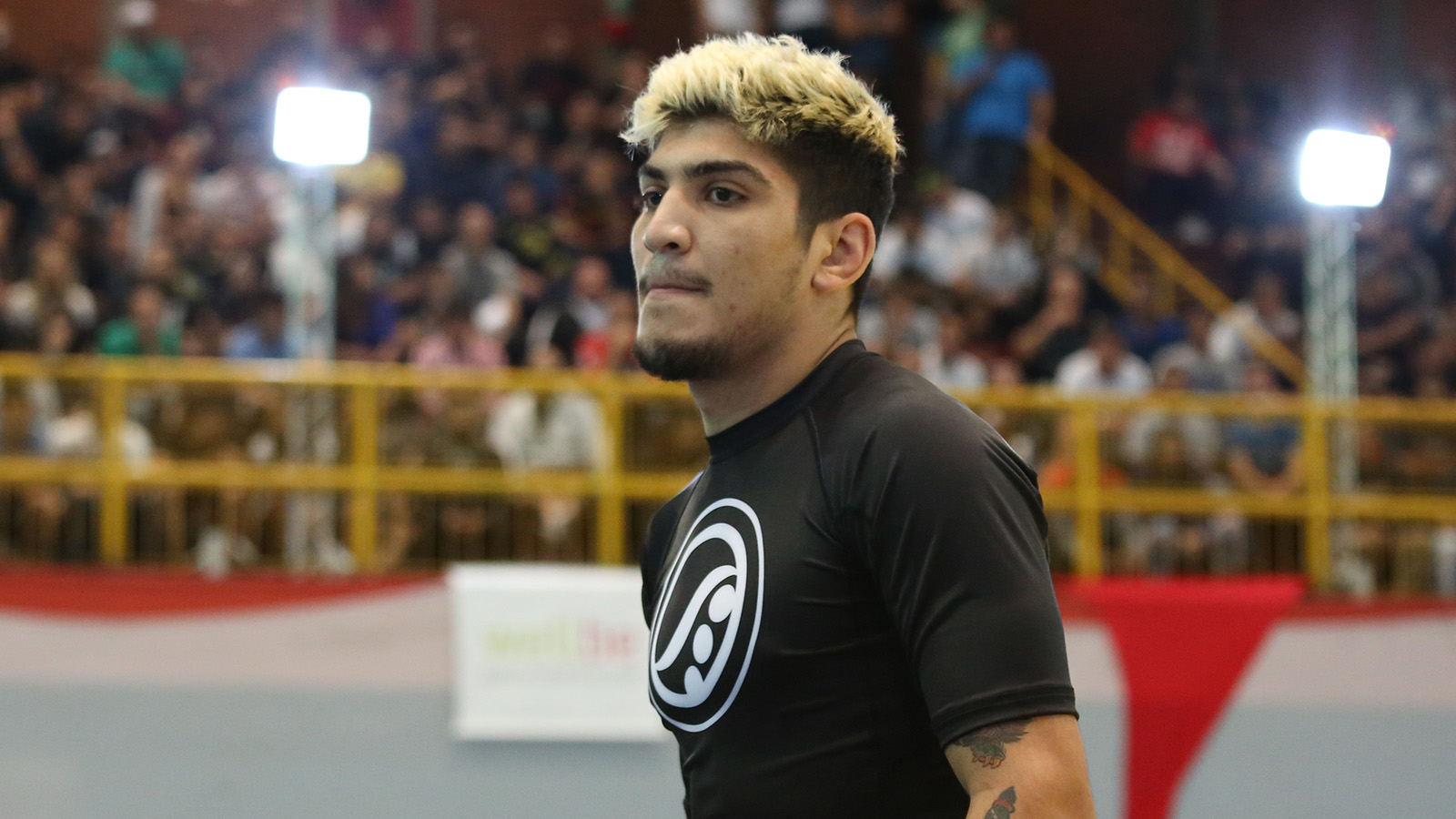 dillon danis mma news