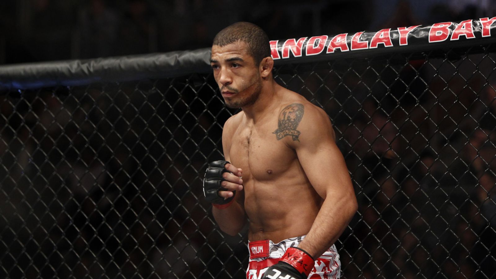 jose-aldo-ufc-news