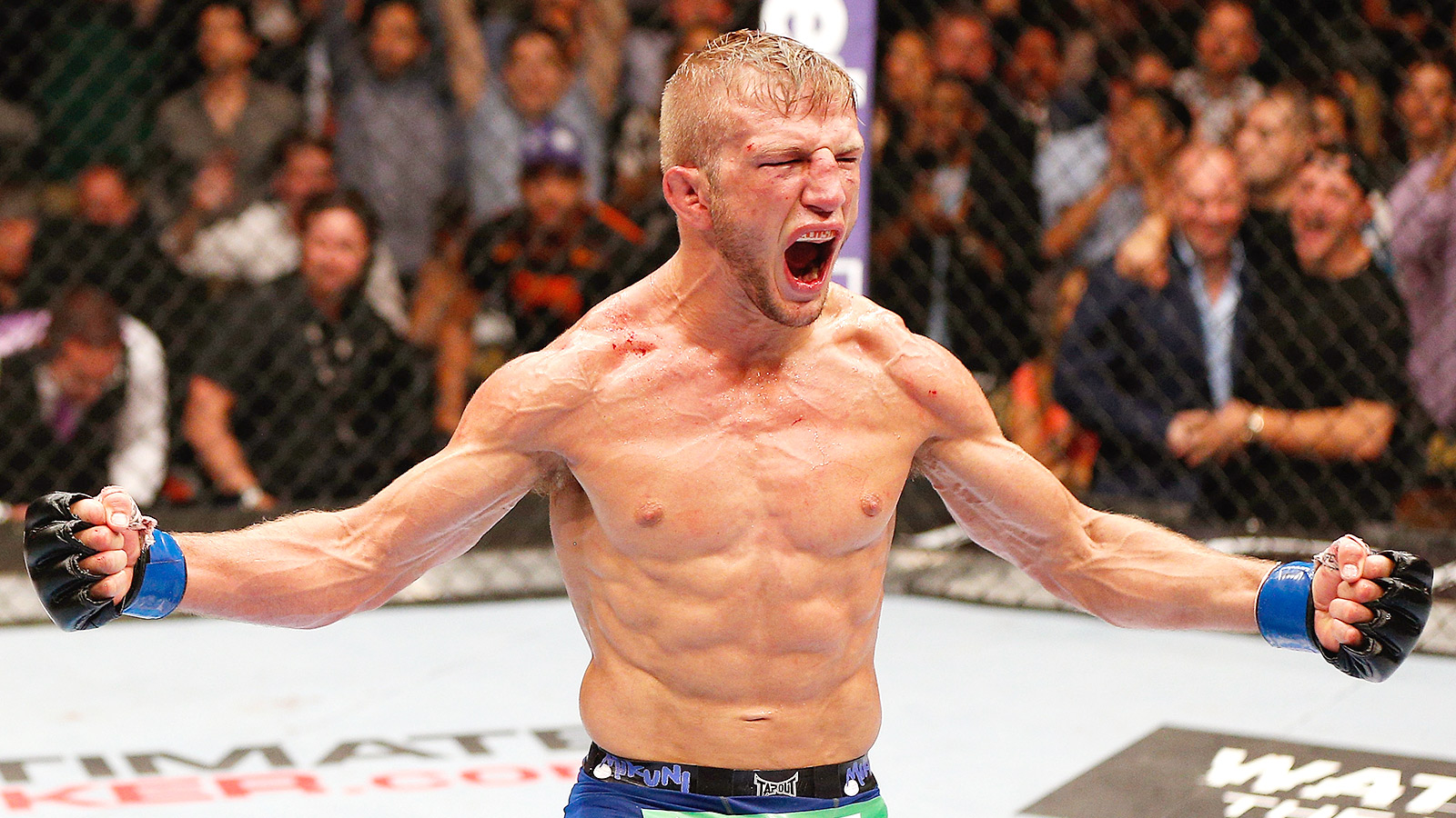 tj_dillashaw-ufc news