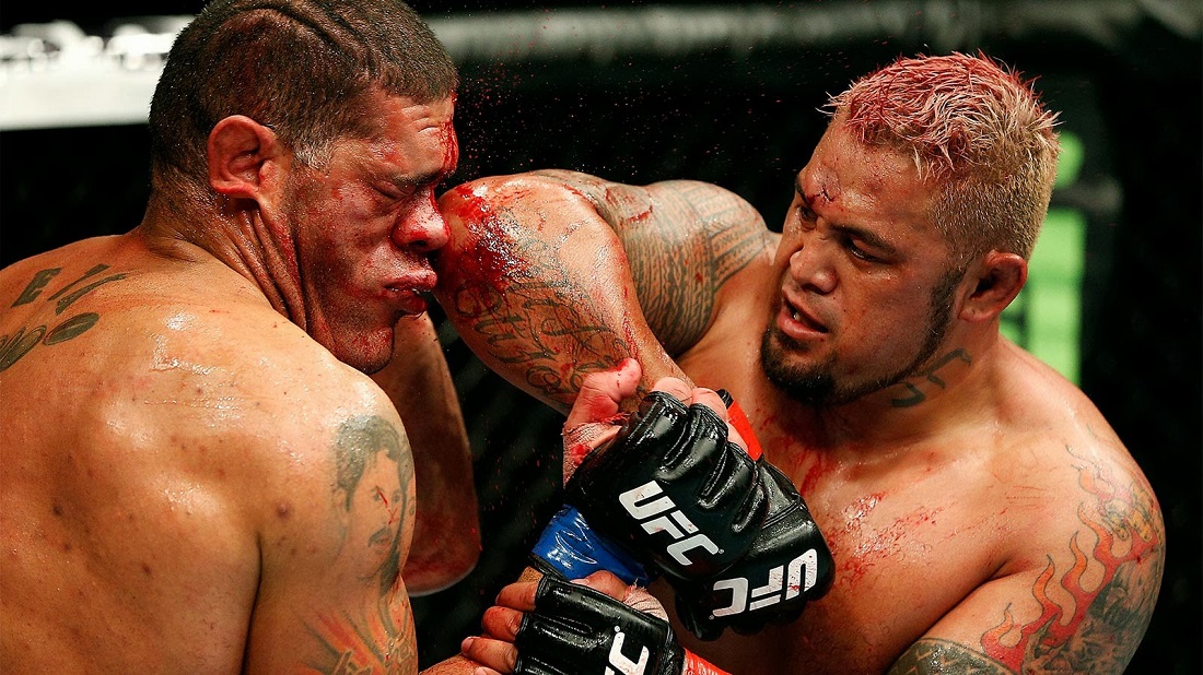 Mark Hunt mma update