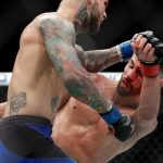 Dominick Cruz mma update