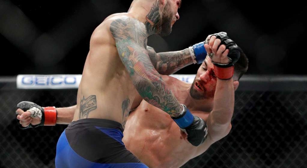 Dominick Cruz mma update