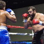 Gabriel Gonzaga mma update