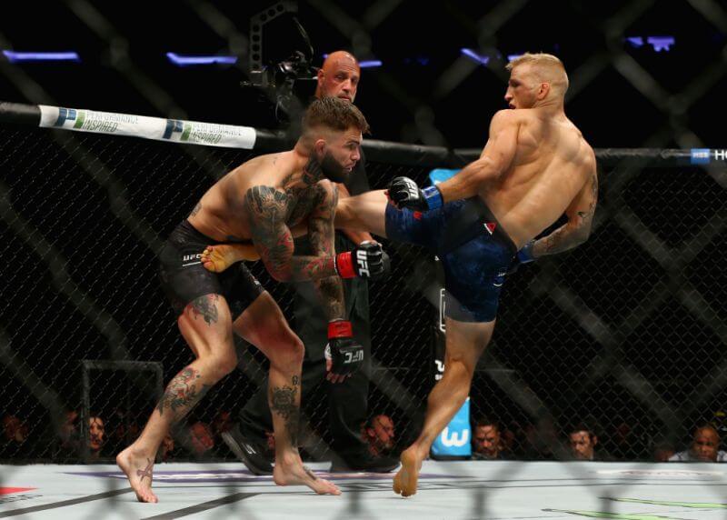 T.J. Dillashaw mma news